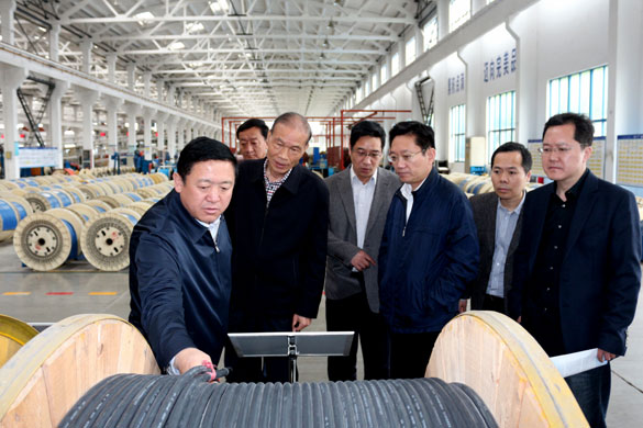4月25日，青海省海南州州长来尊龙凯时电缆考察