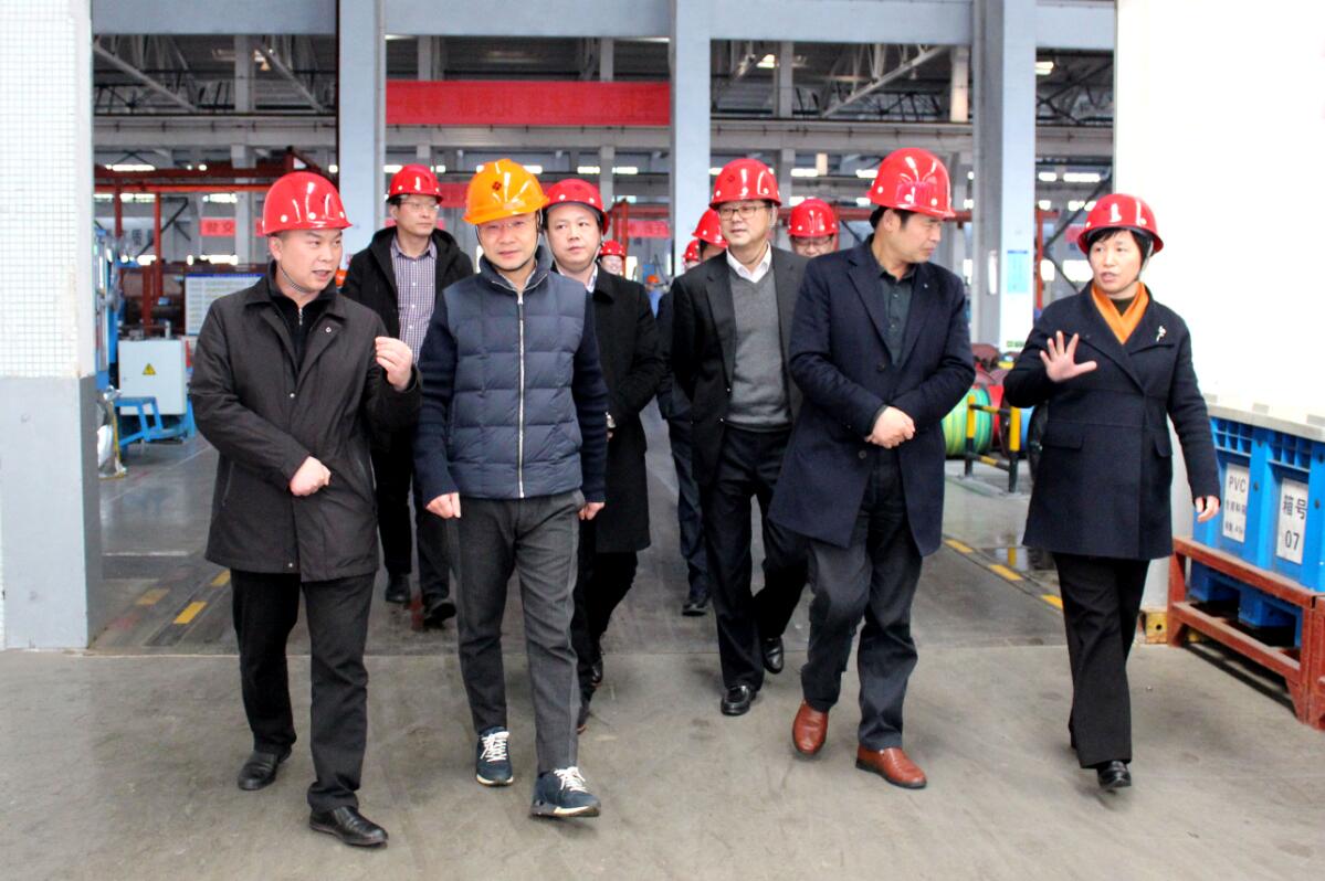 2019年3月7日，广安市岳池县考察团来尊龙凯时电缆旅行考察