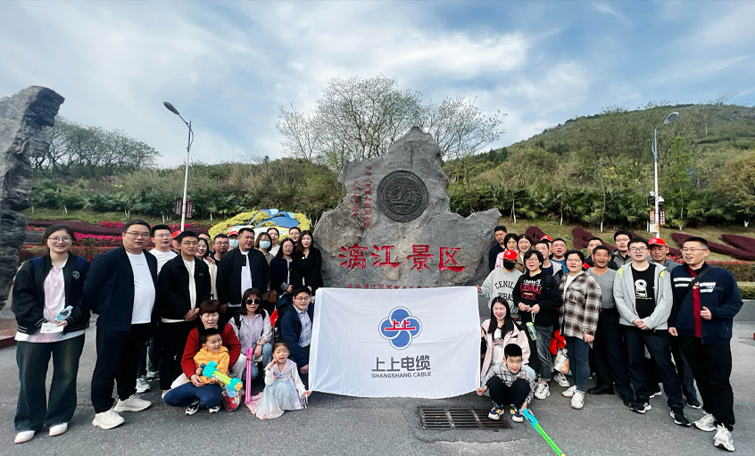 尊龙凯时电缆组织2023年度先进员工及家属赴桂林旅游